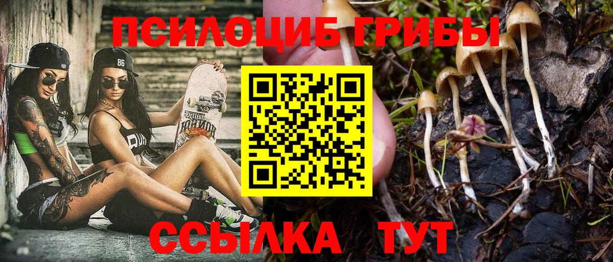 Псилоцибиновые грибы Magic Shrooms  Вход с VPN  Нарткала 